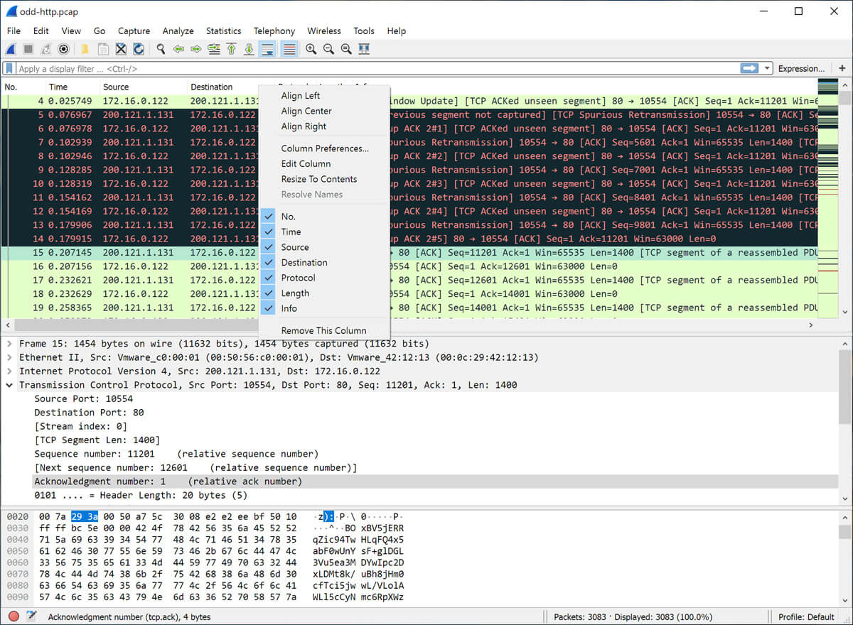 Wireshark screenshot