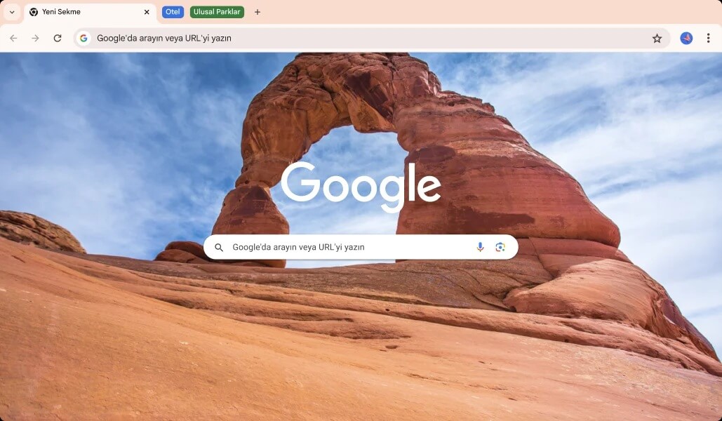 Google Chrome screenshot