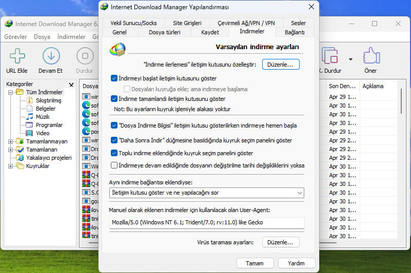 Internet Download Manager screenshot