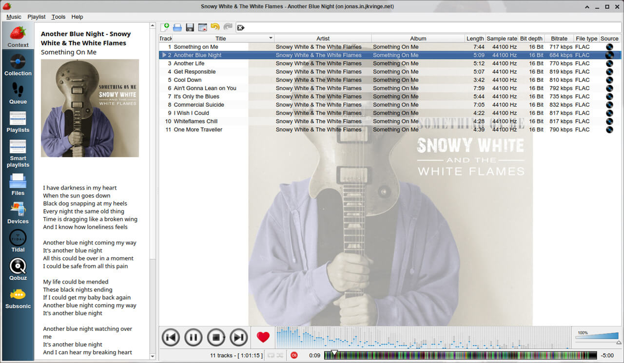 Strawberry Music Player screenshot
