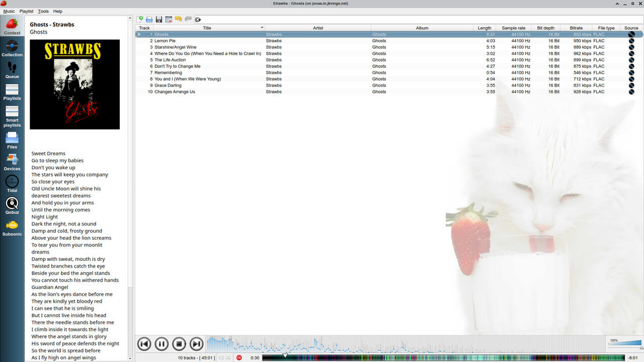 Strawberry Music Player screenshot