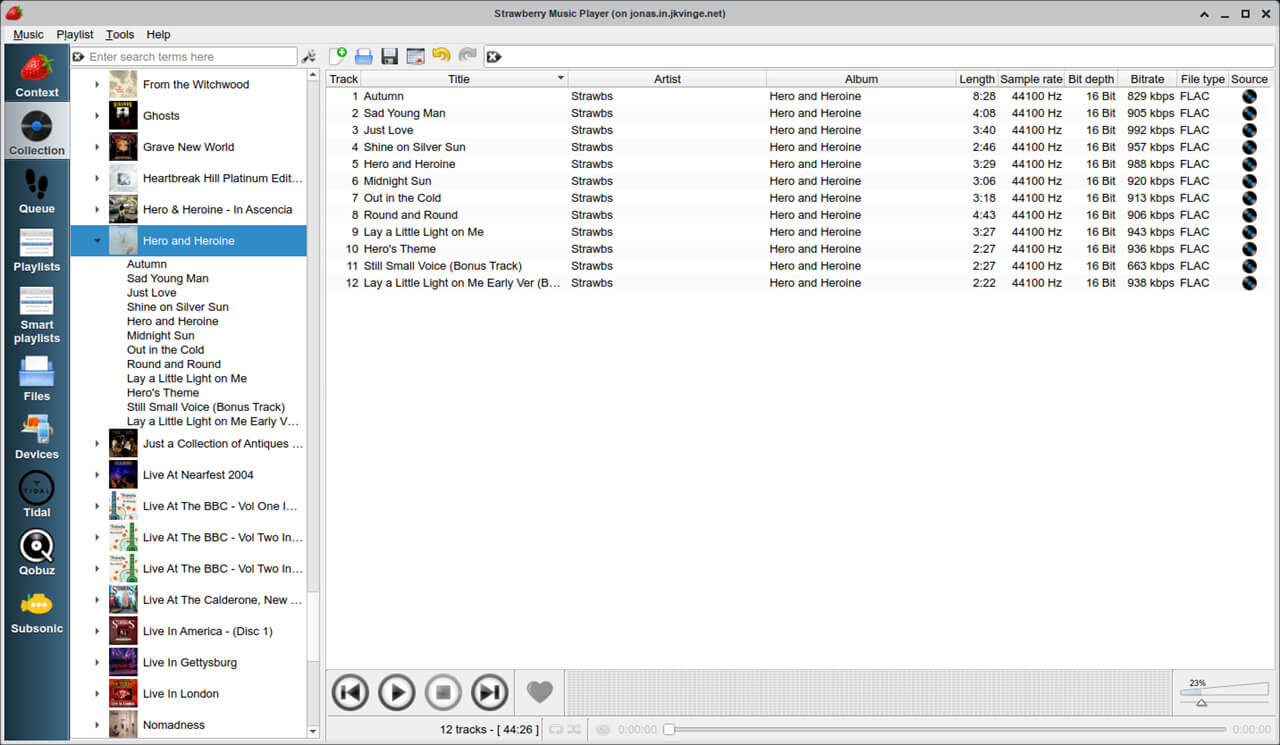 Strawberry Music Player screenshot