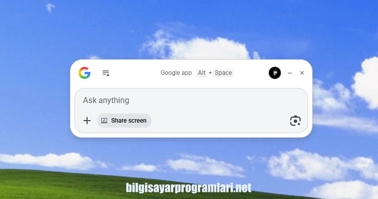 Google App for Desktop screenshot