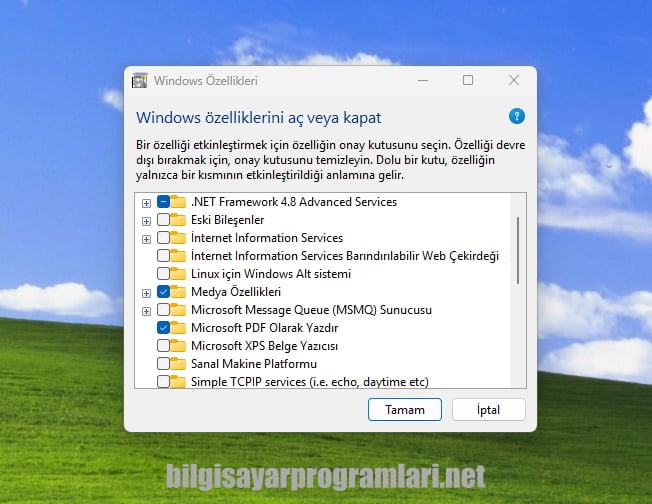 .NET Framework 4.8.1 screenshot