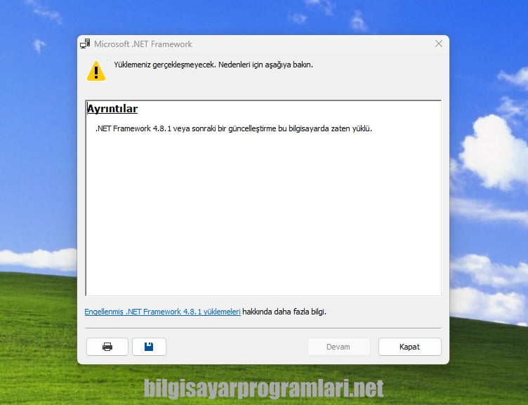 .NET Framework 4.8.1 screenshot